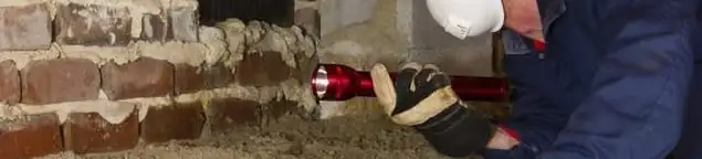 Pest control technician inspecting a crawl space for ant activity and entry points in Sacramento, CA
