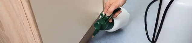 Bed bug exterminator treating baseboards and cracks with targeted spray in Sacramento, CA