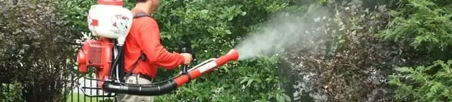 Mosquito control technician fogging shrubs and landscaping for mosquito treatment in Sacramento, CA