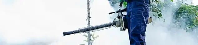 Pest control technician fogging an outdoor area for insect control in Sacramento, CA