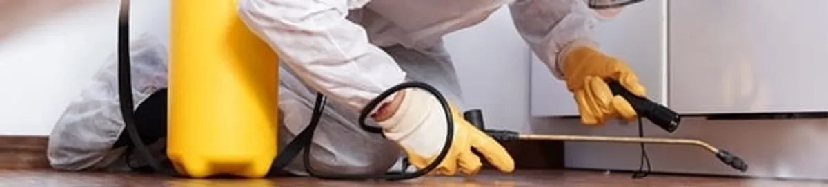 Roach exterminator treating cracks and crevices along kitchen baseboards in Sacramento, CA