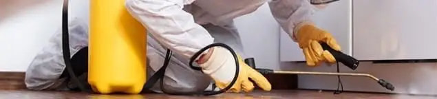 Roach exterminator treating cracks and crevices along kitchen baseboards in Sacramento, CA