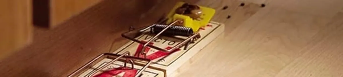 Rodent trap set indoors for rodent control and prevention in Sacramento, CA