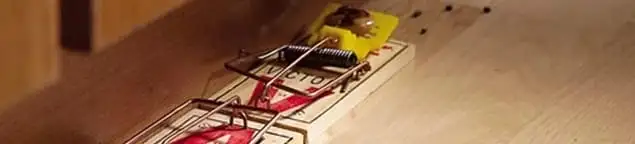 Rodent trap set indoors for rodent control and prevention in Sacramento, CA