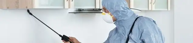 Termite treatment technician applying indoor pest control spray in Sacramento, CA